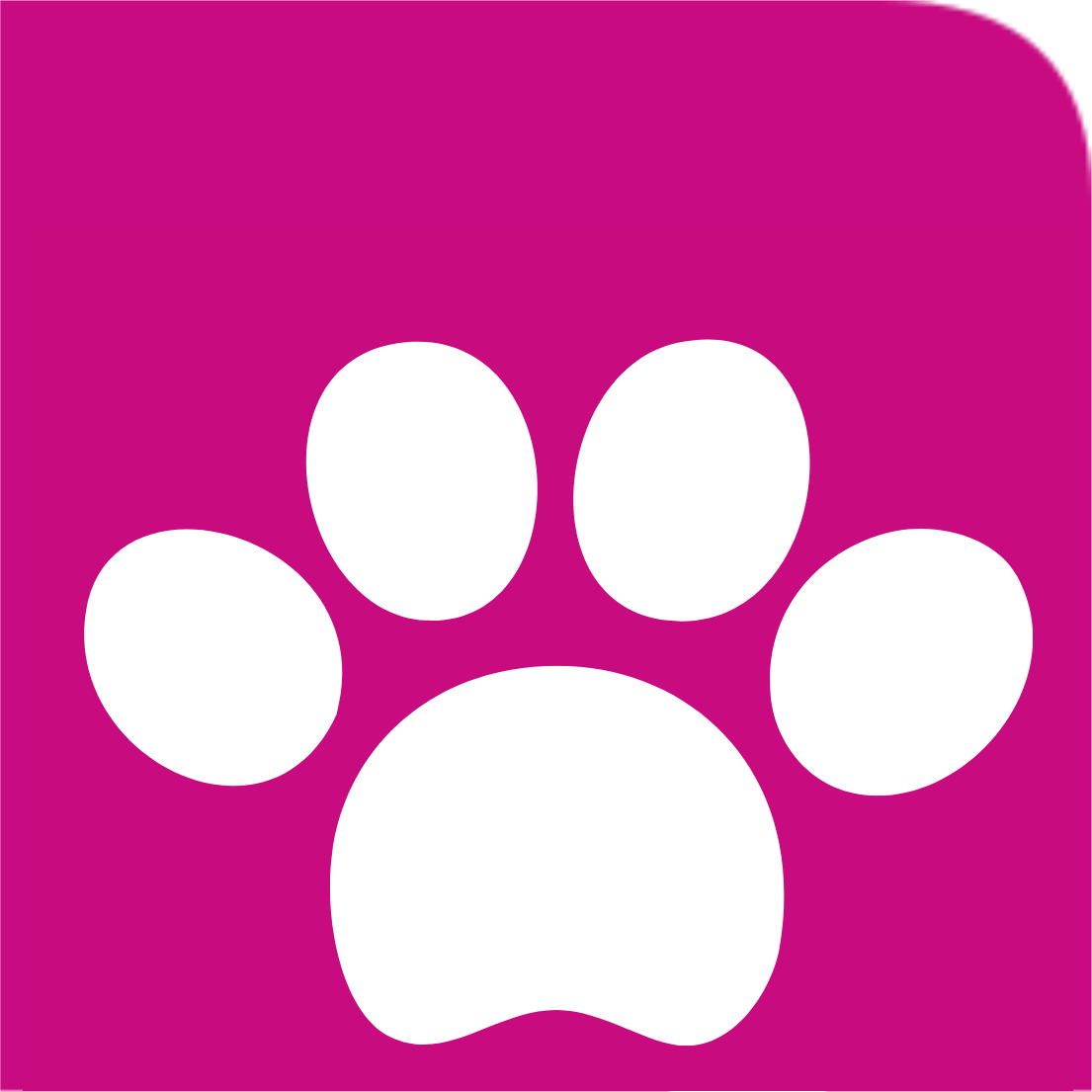 mini-cat